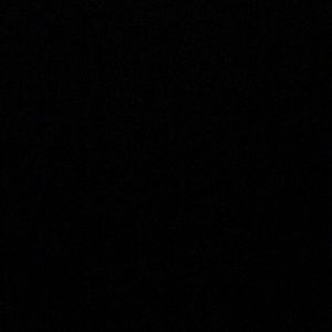 Meet your Posher, Jadyn